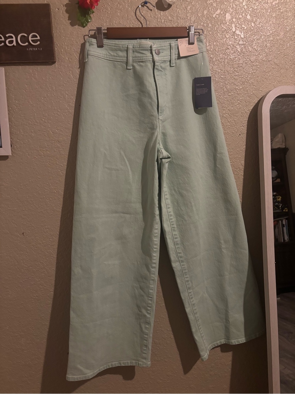 Wide Leg High-Rise Jeans in Mint Green